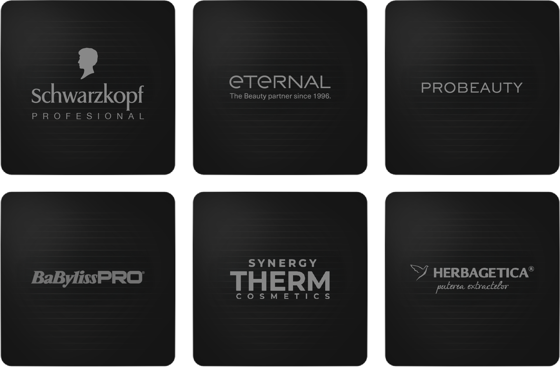 Logos of industry leaders partnered with Wudo